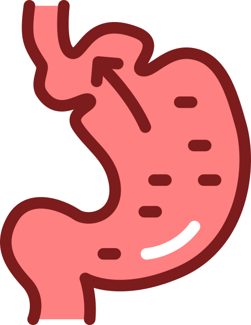 Ícone de refluxo e hérnia de hiato